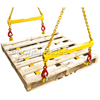 Picture of Pallet / IBC Lifter for Overhead Crane