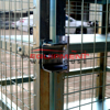 Picture of 6  x Forklift LPG Gas Bottle Storage Cage